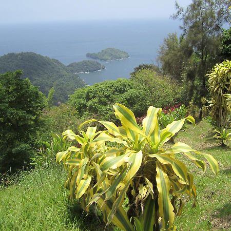 Hotel Mahogany Ridge Arouca Exterior foto