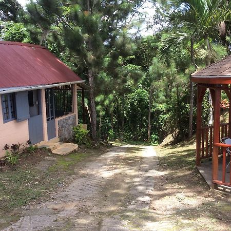 Hotel Mahogany Ridge Arouca Exterior foto