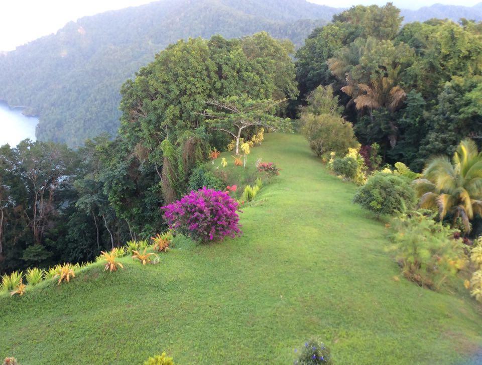 Hotel Mahogany Ridge Arouca Exterior foto