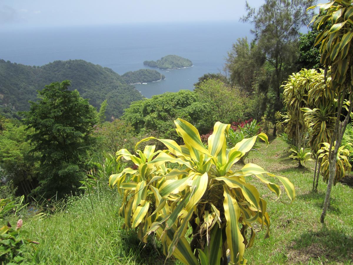 Hotel Mahogany Ridge Arouca Exterior foto