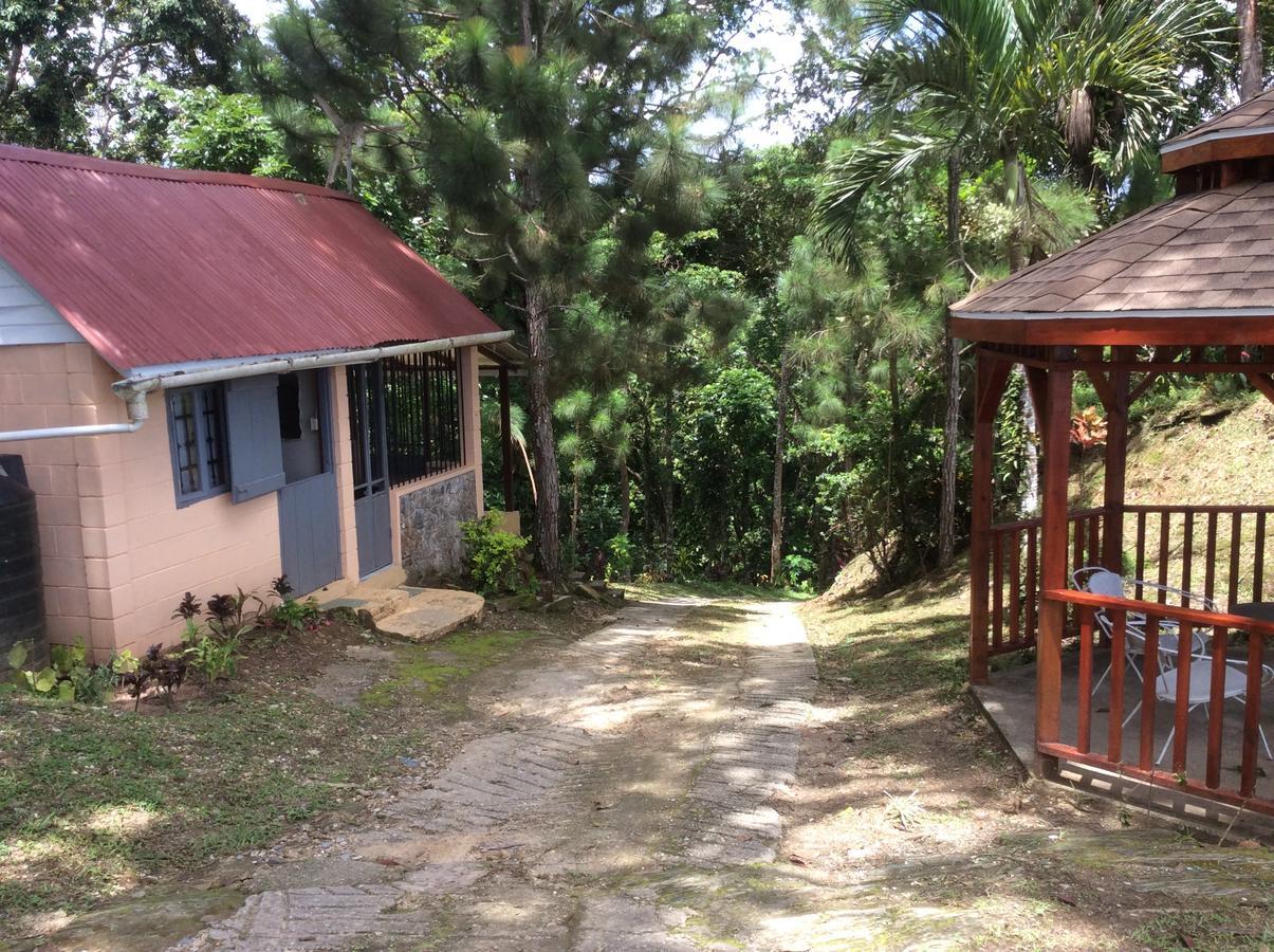 Hotel Mahogany Ridge Arouca Exterior foto